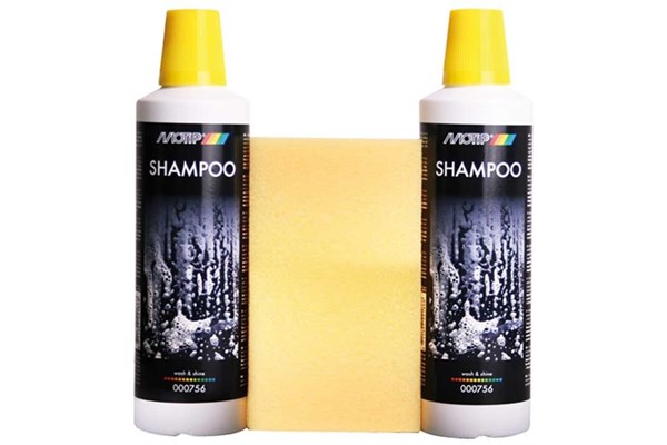 Shampoo Wash And Shine